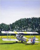 Tigermoth - Sold