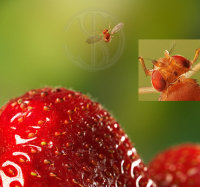 Experiments in Medium Format