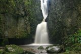Catrigg Force