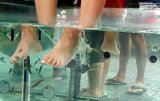 Happy Feet!