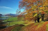 The Lake District