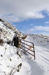 First snow of the year.