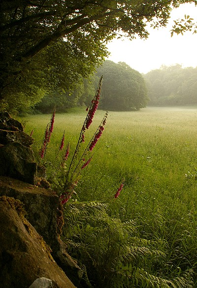 First Light