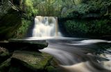 Harden Beck