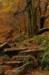 At Hardcastle Crags
