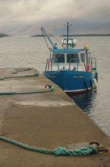 'The Lismore'