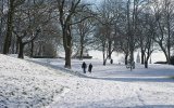 A Snowy Walk In The Park.