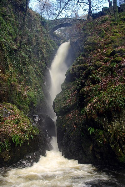 Aira Force