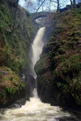 Aira Force