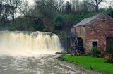 Rutter Force