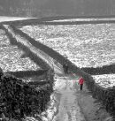 Snowy walk from Settle