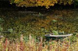 Sunken boat.