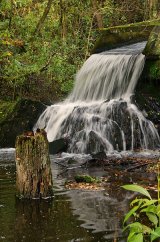 Outflow