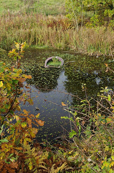 Sunken Boat