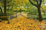 Autumn in Queen's Park