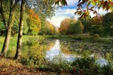 A small pond