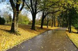 On the right path