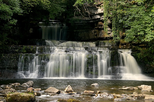 Cotter Force