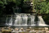 Cotter Force
