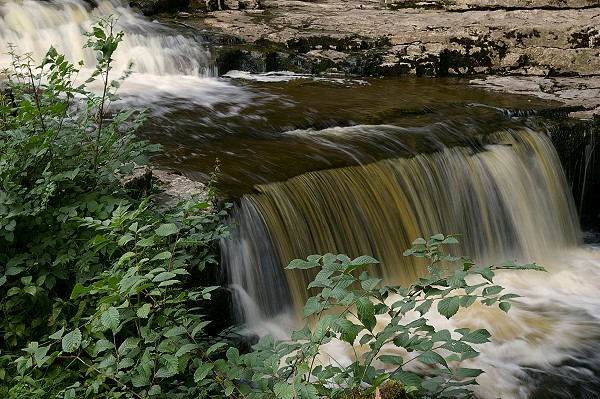Stainforth Force
