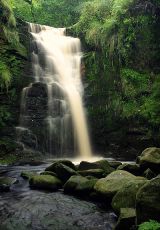 Lead Mines Brook