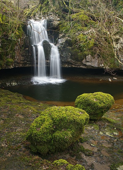Lockin Garth Force