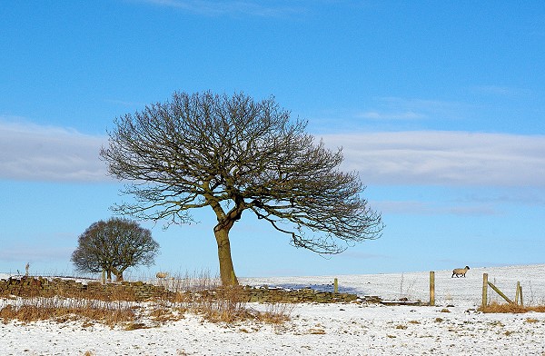 Winter at Chapeltown