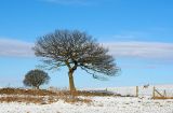 Winter at Chapeltown