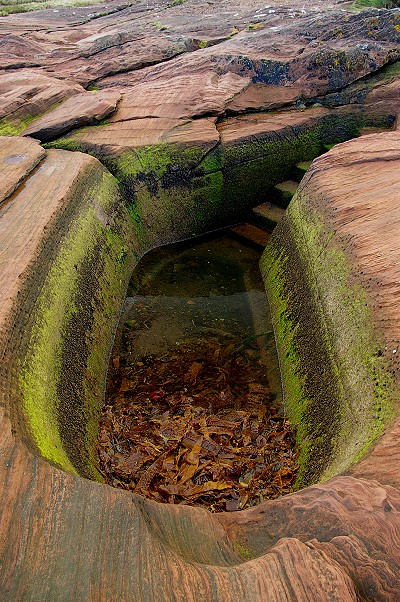 The Doctor's Bath