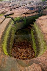 The Doctor's Bath