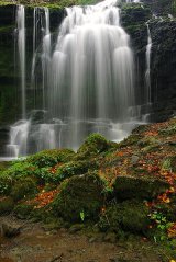 Scaleber Force 3