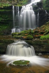Scaleber Force