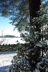 Xmas at Entwistle