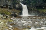 Thornton Force