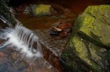(Detail) Tigers Clough Crooked Edge Waterfall