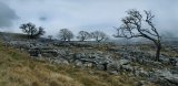 Twistleton Scar