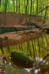 Green Reflections