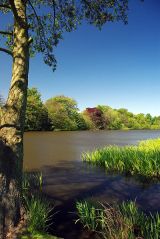 Poynton Park Lake