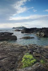 Godrevy Head