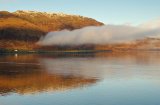 Morning Mist