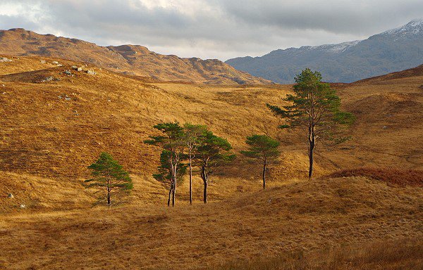 View from Drynie Hill