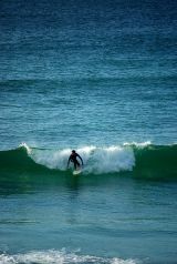 Surfing Dude