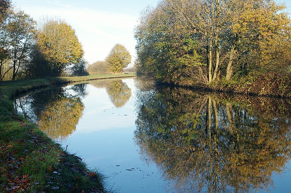 Autumn Reflections