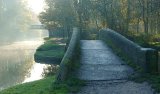 Misty Morning