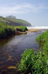 Poldhu Cove