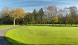 The Green