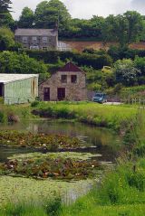 Trungle Mill