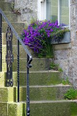 A quiet corner