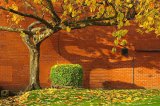 The last days of Autumn