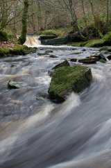 River Roddlesworth